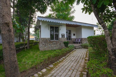 Ashoka Tiger Trail - Room & Suite Gallery View - Gola Holidays